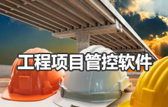 建設(shè)工程項目管控軟件