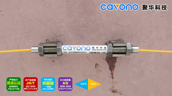 光纖光柵應(yīng)變計(jì)